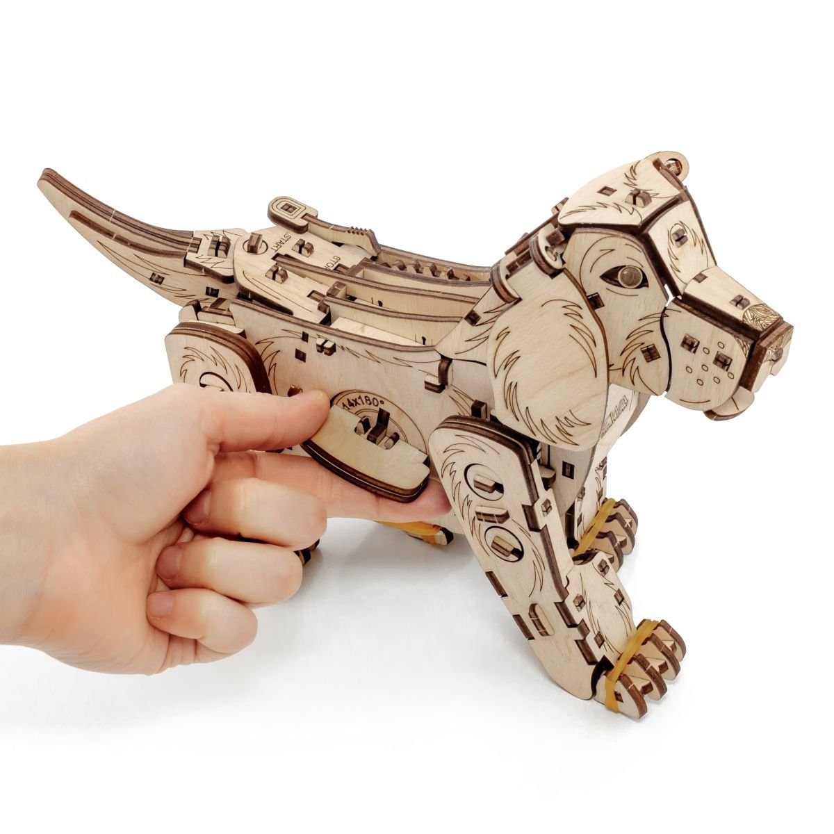 3D Wooden Model Kit | Puppy (BEW002e) – Wooden constructors | Varvikas.Shop