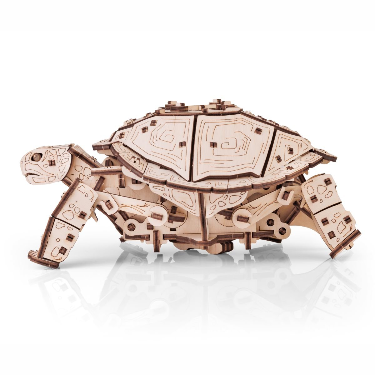 3D Wooden Model Kit | Turtle (BEW008e) – Wooden constructors | Varvikas.Shop