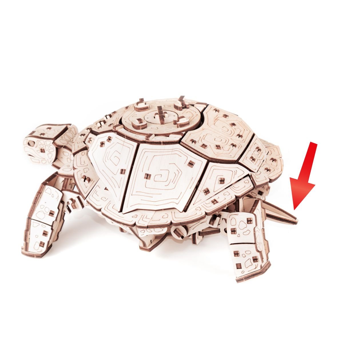 3D Wooden Model Kit | Turtle (BEW008e) – Wooden constructors | Varvikas.Shop