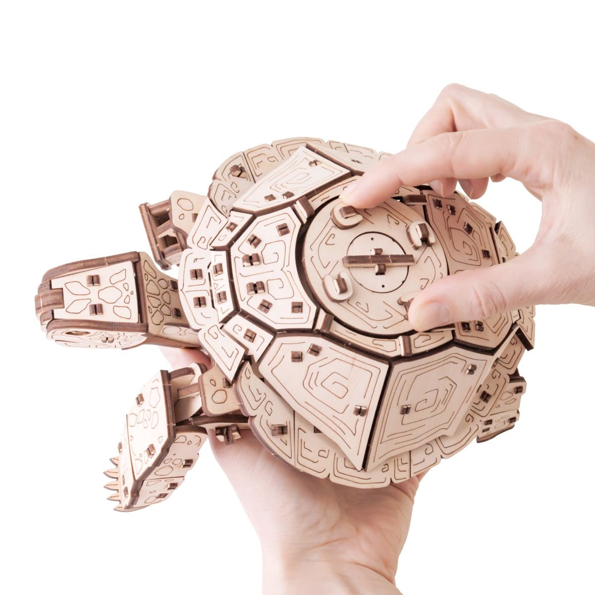 3D Wooden Model Kit | Turtle (BEW008e) – Wooden constructors | Varvikas.Shop