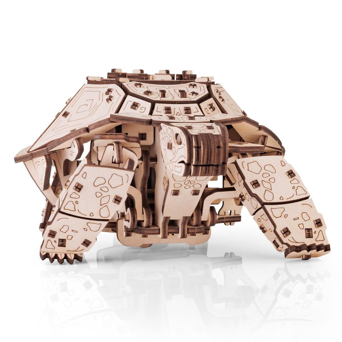 3D Wooden Model Kit | Turtle (BEW008e) – Wooden constructors | Varvikas.Shop