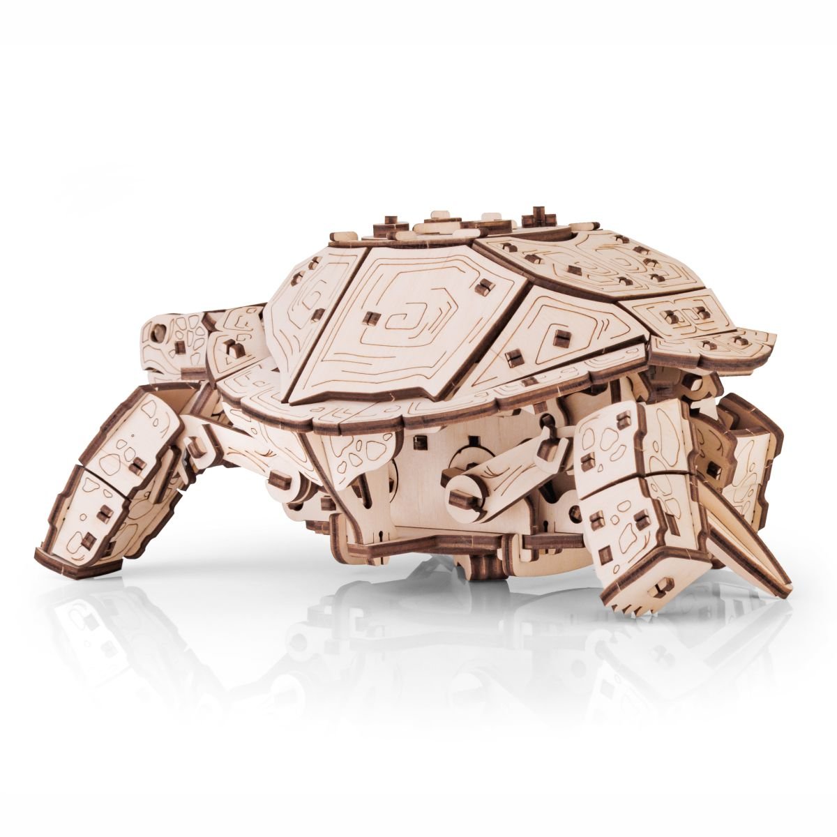3D Wooden Model Kit | Turtle (BEW008e) – Wooden constructors | Varvikas.Shop
