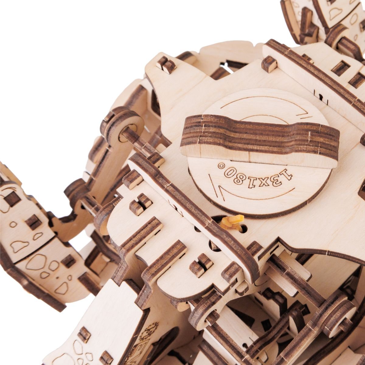 3D Wooden Model Kit | Turtle (BEW008e) – Wooden constructors | Varvikas.Shop