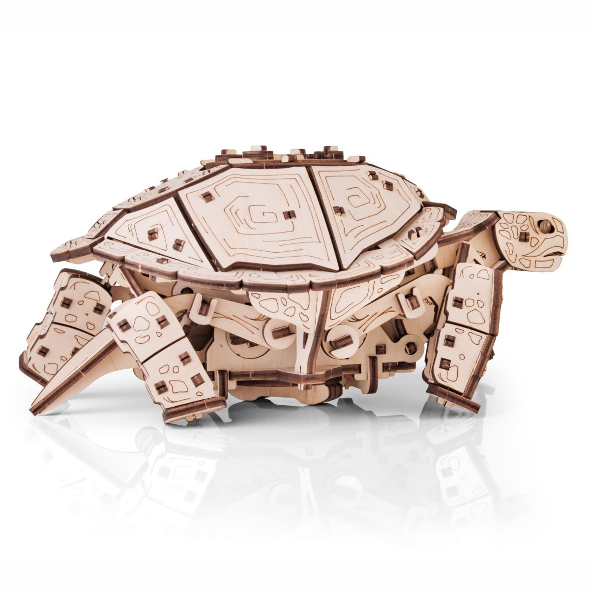 3D Wooden Model Kit | Turtle (BEW008e) – Wooden constructors | Varvikas.Shop