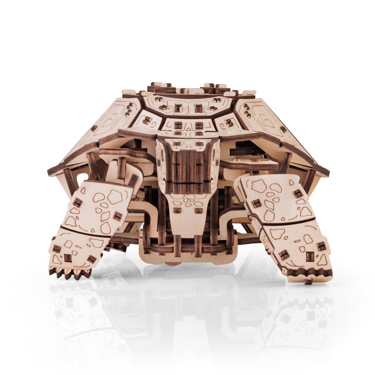 3D Wooden Model Kit | Turtle (BEW008e) – Wooden constructors | Varvikas.Shop