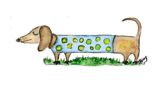 5D Diamond Painting 17х22 cm | Dachshund Leni (X003e) – Diamond painting | Varvikas.Shop