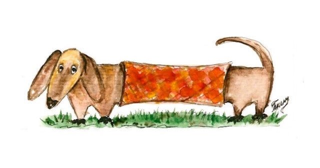 5D Diamond Painting 17х22 cm | Dachshund Lilo (X001e) – Diamond painting | Varvikas.Shop