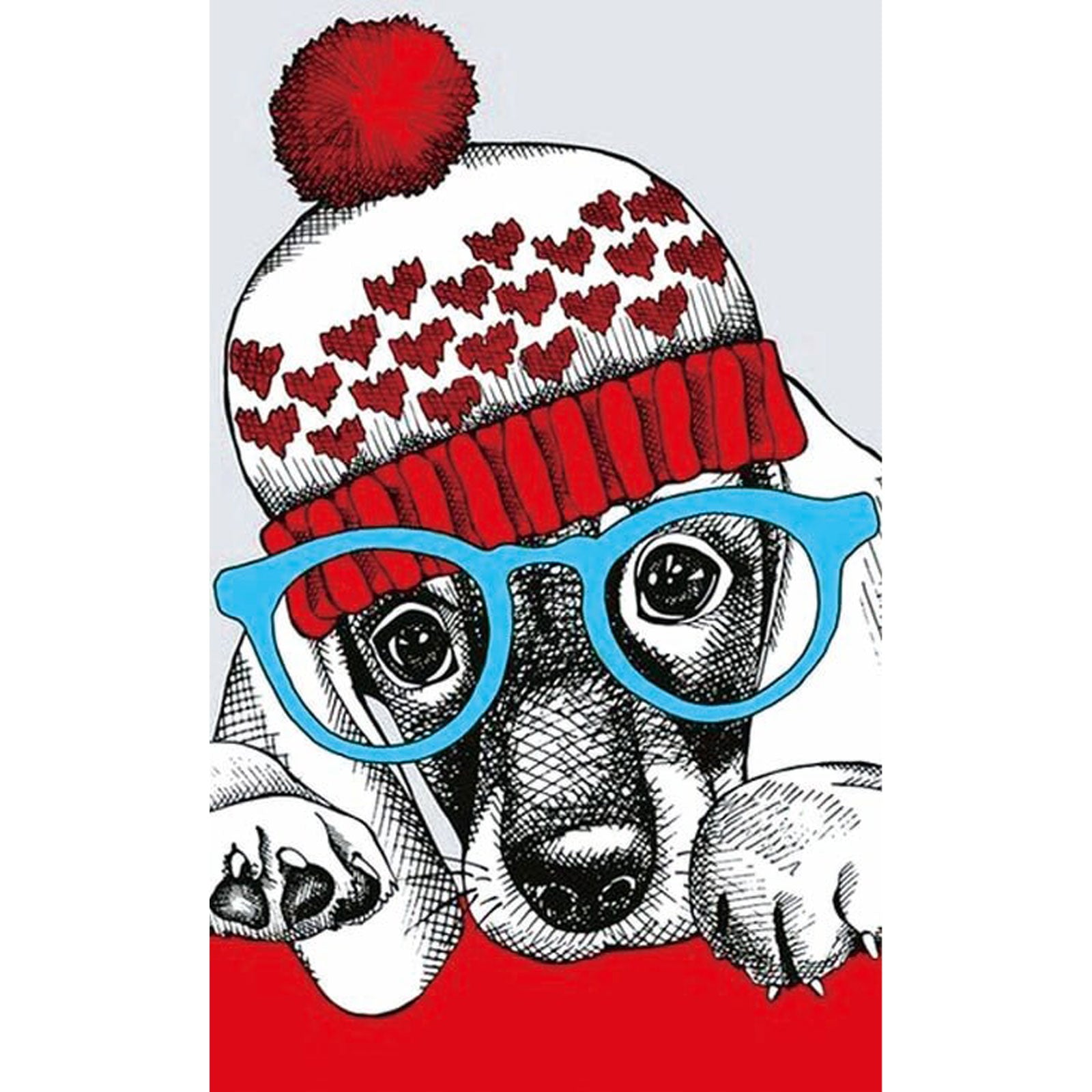 5D Diamond Painting 20x30 cm | Fashionable Dog (LC008e) – Diamond painting | Varvikas.Shop