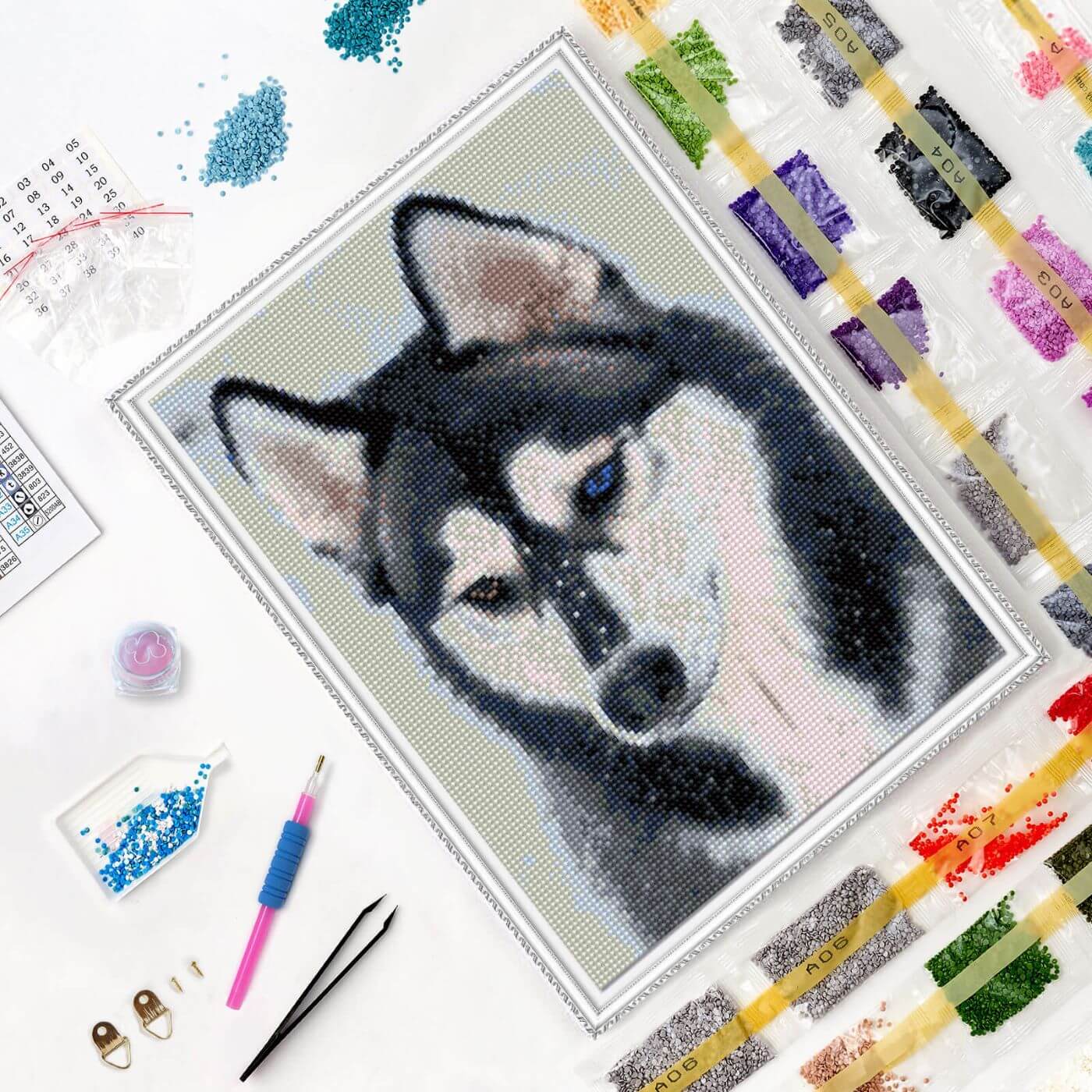 5D Diamond Painting 30x40 cm | Amazing husky (LE130e) – Diamond painting | Varvikas.Shop