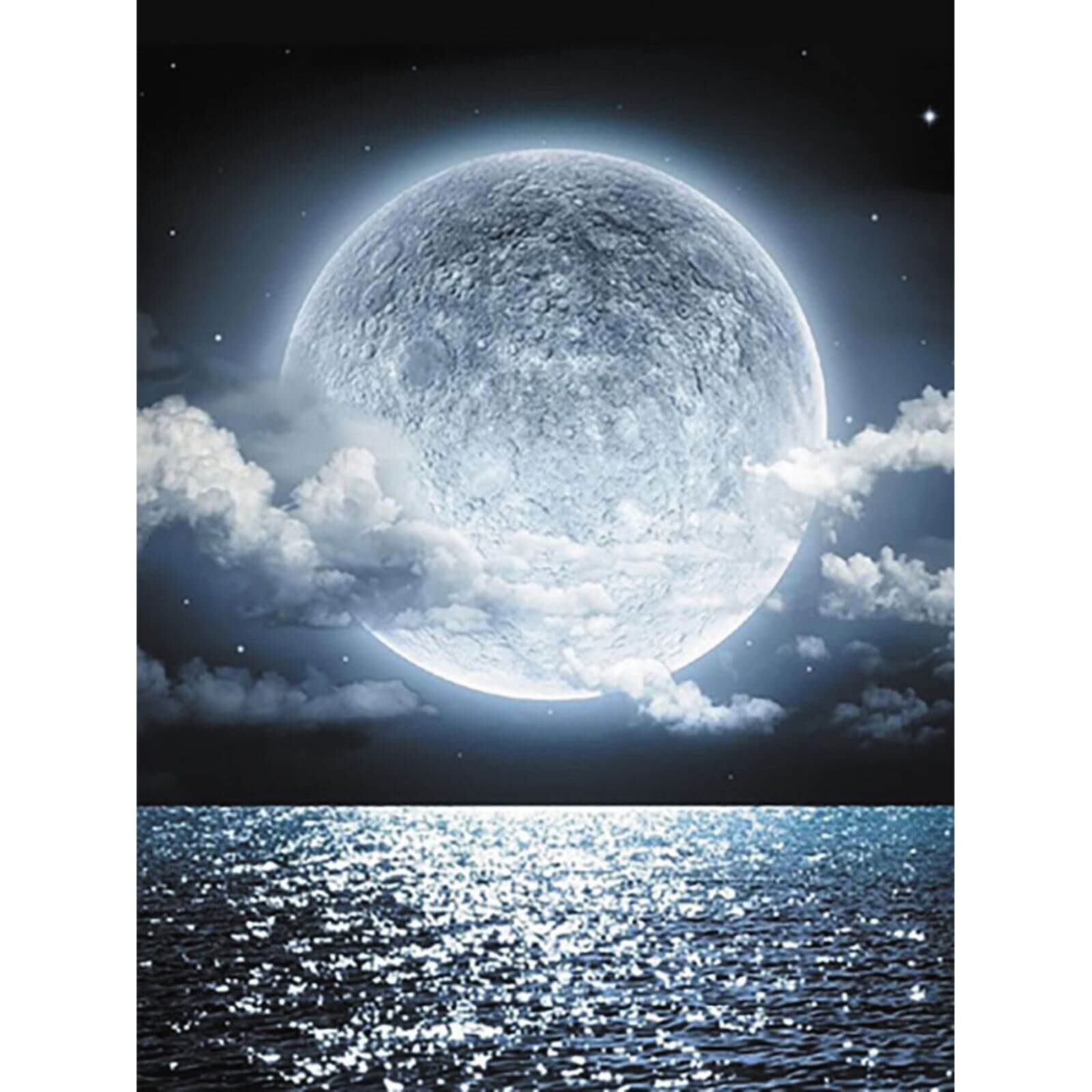 5D Diamond Painting 30x40 cm | Charming full moon (LE132e) – Diamond painting | Varvikas.Shop