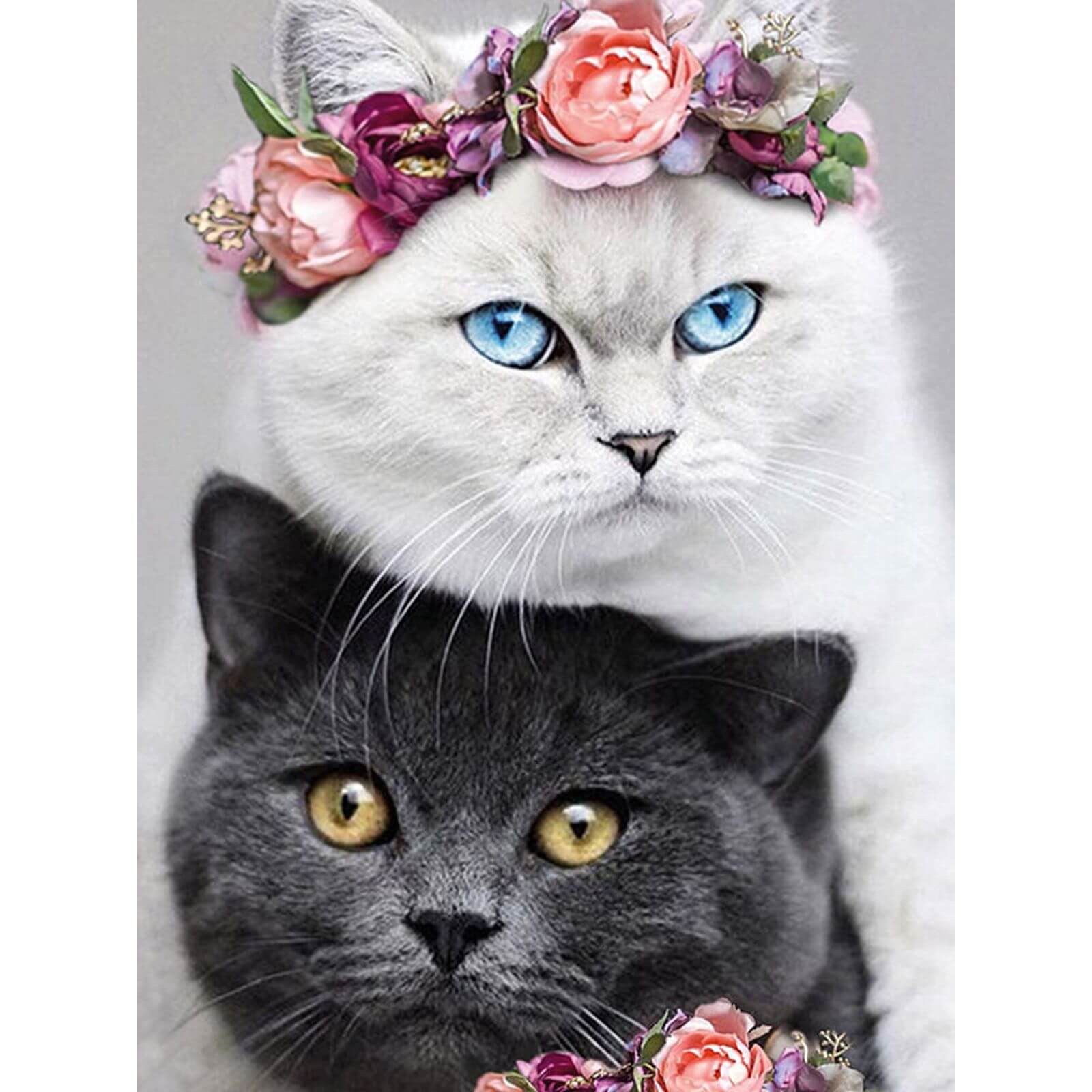 5D Diamond Painting 30x40 cm | Yin Yang (LE148e) – Diamond painting | Varvikas.Shop