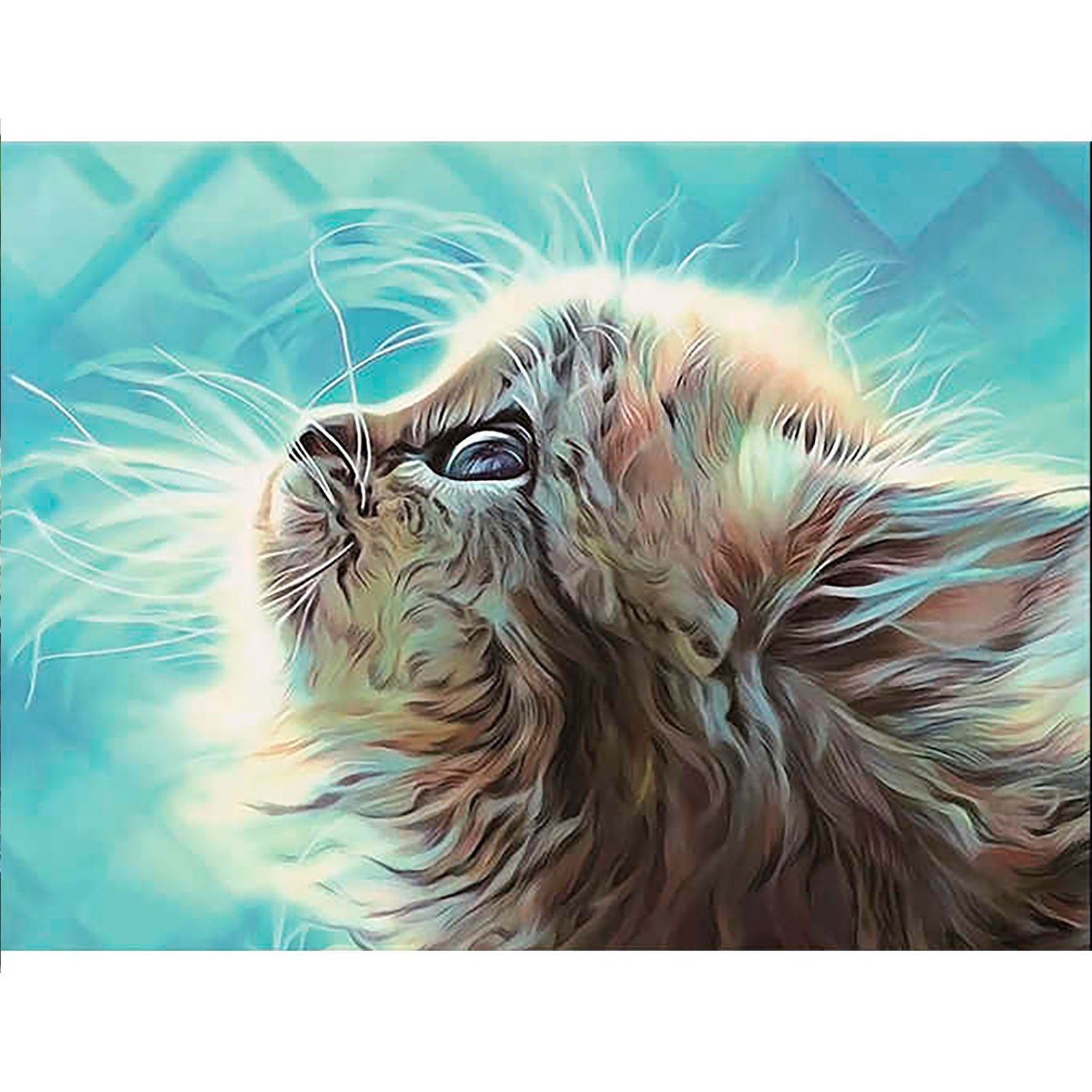 5D Diamond Painting 40x50 cm | Kitten in a Dream (LG010e) – Diamond painting | Varvikas.Shop