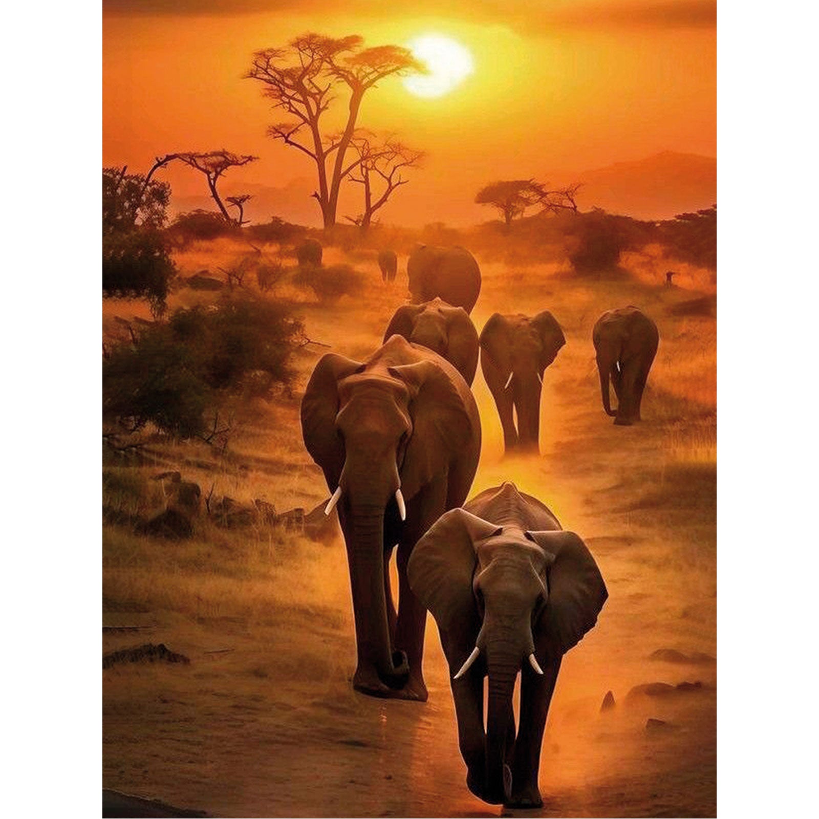 5D Diamond Painting 40x50 cm | Sunset Safari (LG384e) – Diamond painting | Varvikas.Shop