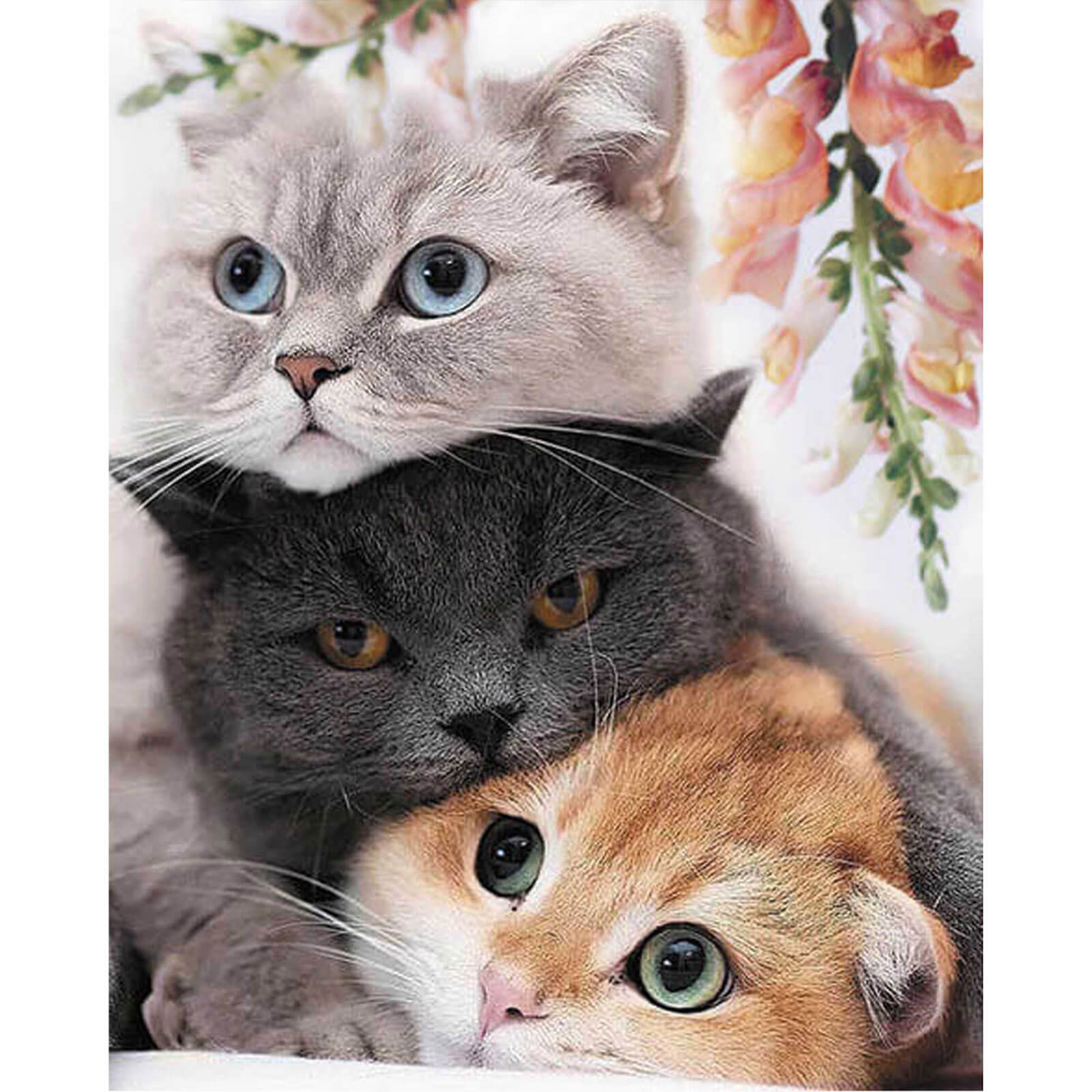 5D Diamond Painting 40x50 cm | Three Kittens (LG299e) – Diamond painting | Varvikas.Shop