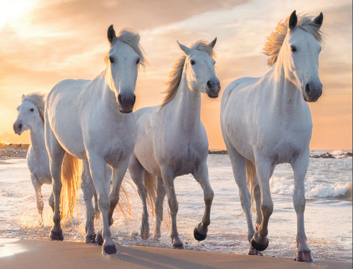 5D Diamond Painting 40x50 cm | Trio (LG217e) – Diamond painting | Varvikas.Shop