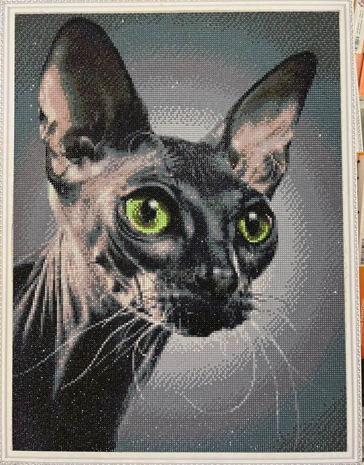 5D Diamond Painting 50x65 cm | Sphynx Cat (LMC034e) – Diamond painting | Varvikas.Shop