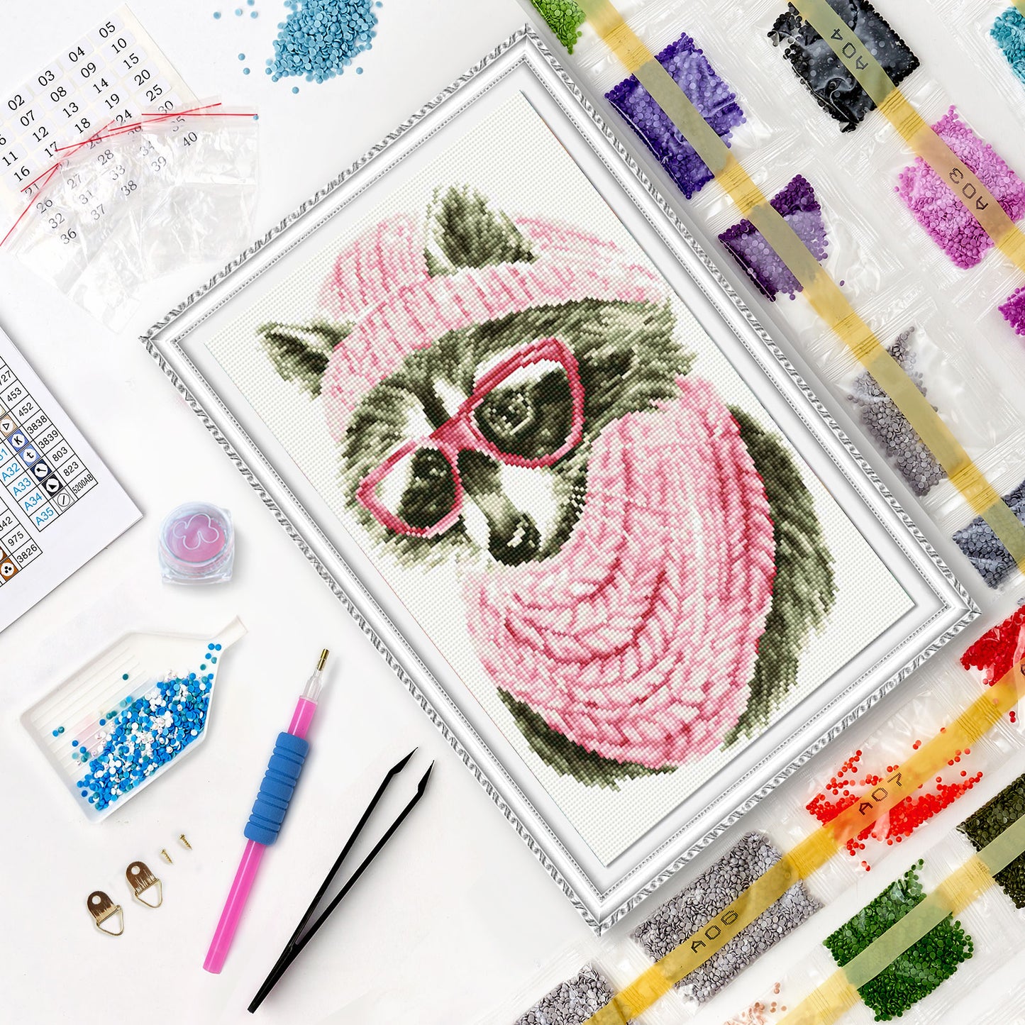 Diamond painting - LC009e - Raccoon with glasses