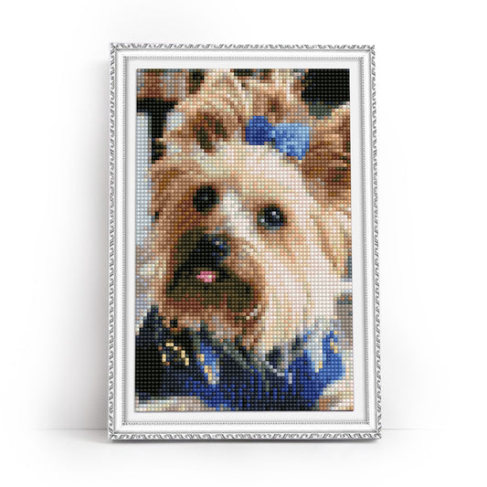 Diamond painting - LC055e - Fluffy Fashionista Image 1