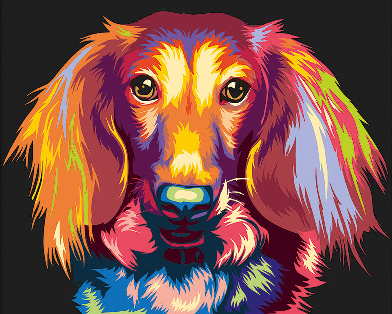 Diamond painting - LE138e - Through the eyes of a dachshund Image 1