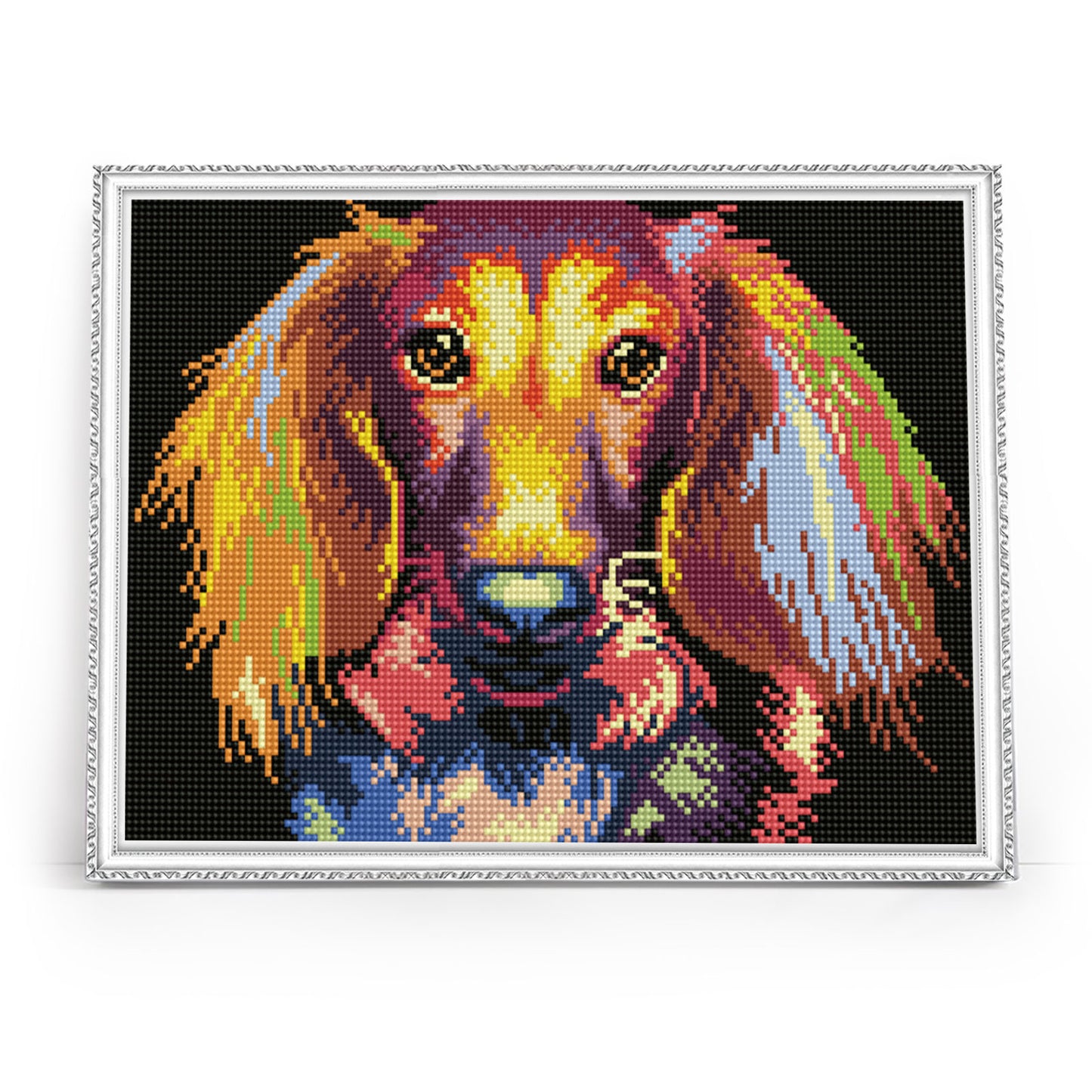 Diamond painting - LE138e - Through the eyes of a dachshund