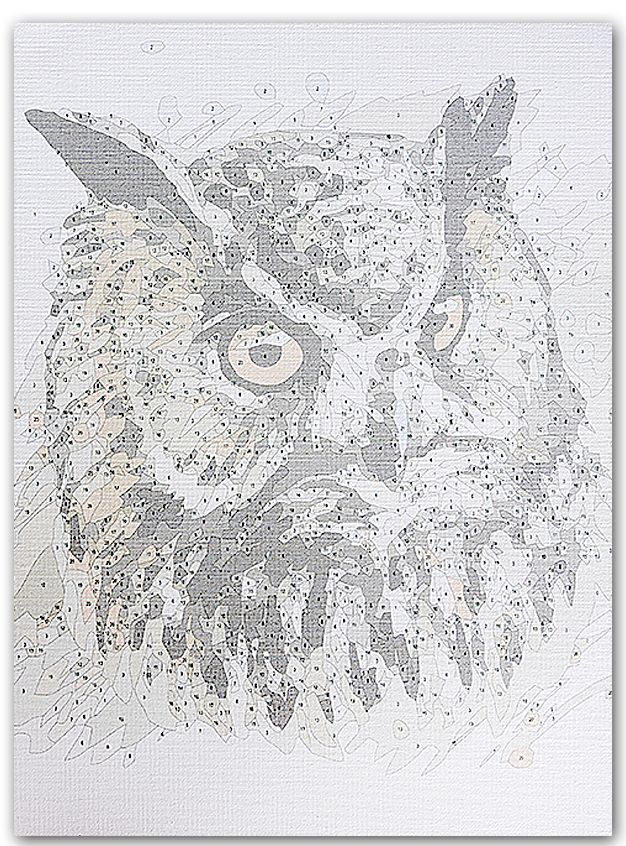 Painting by numbers - ME1123e - Owl Face Image 6