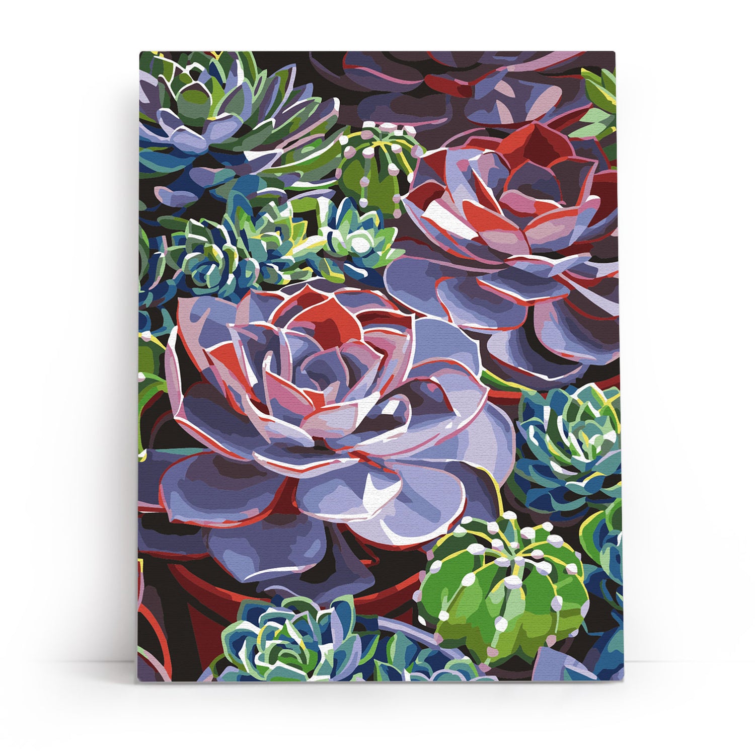 Painting by numbers - ME1161e - Succulent Image 1