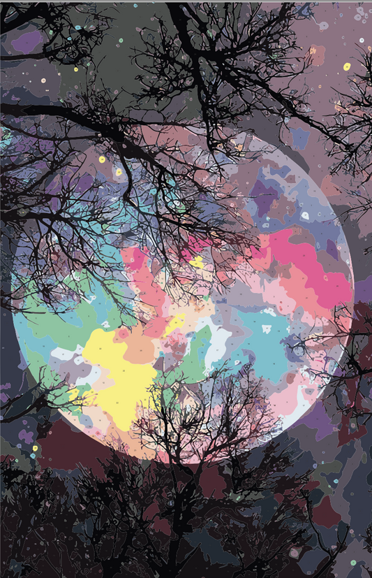 Painting by numbers - MMT001e - The Moonlight Image 1