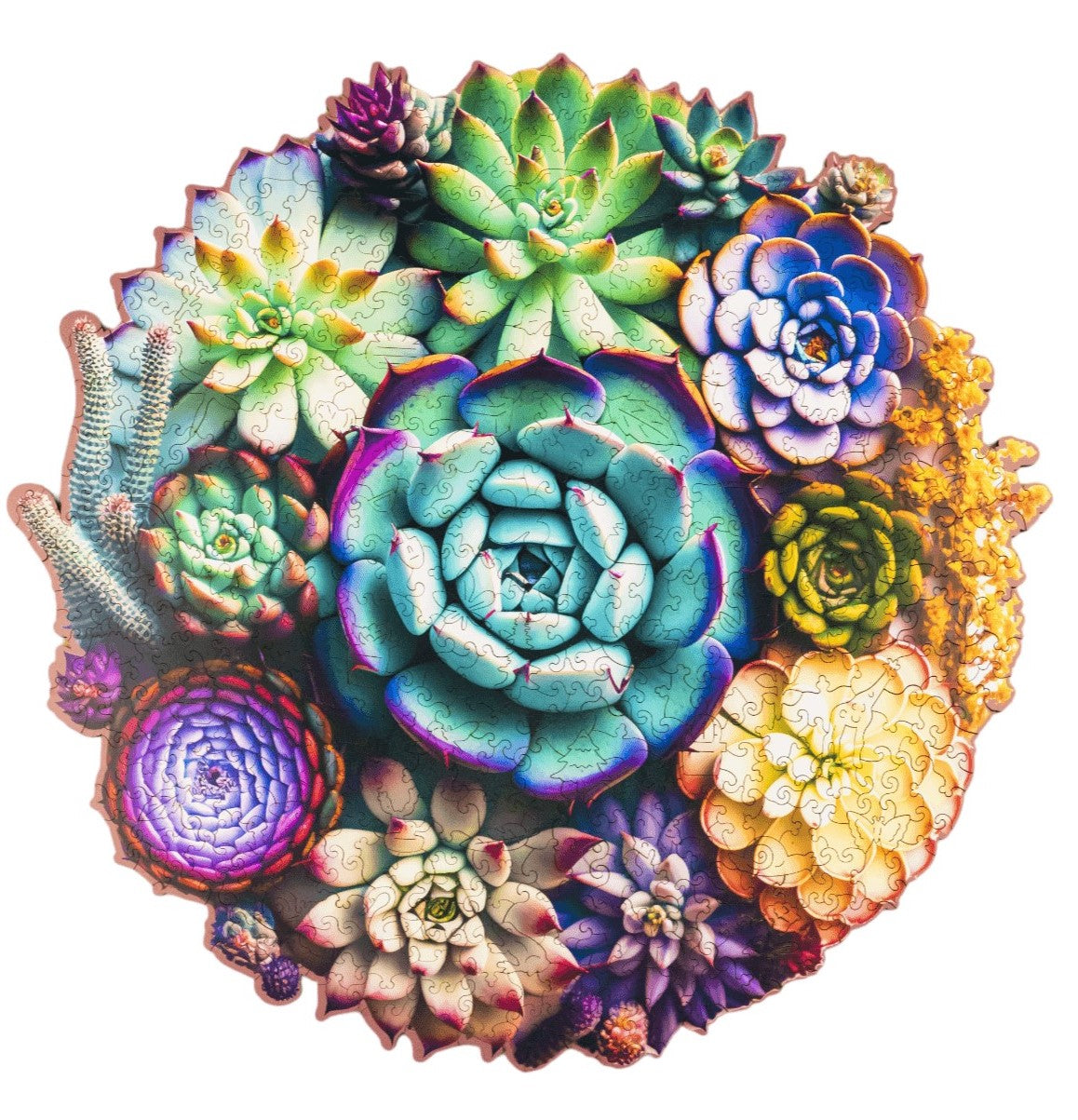 Wooden puzzles - PW023e - Home Succulents Image 3