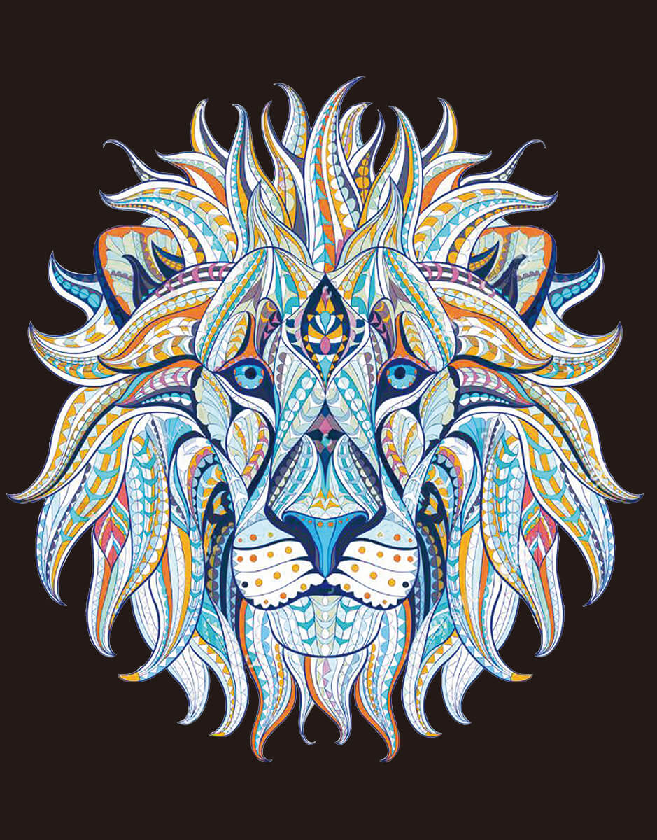 Diamond painting - LG213e - Ethnic Lion Image 1