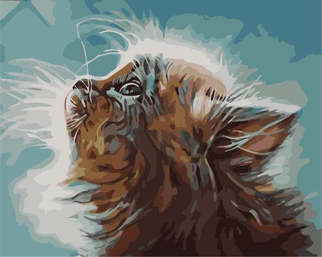 Painting by numbers - MG2074e - Kitten in a Dream Image 1