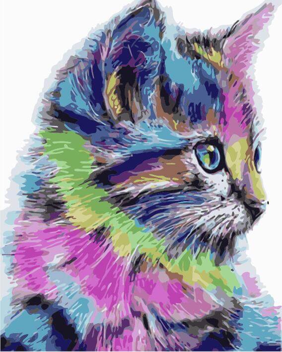 Painting by numbers - MG2077e - Colorful Kitten Image 1