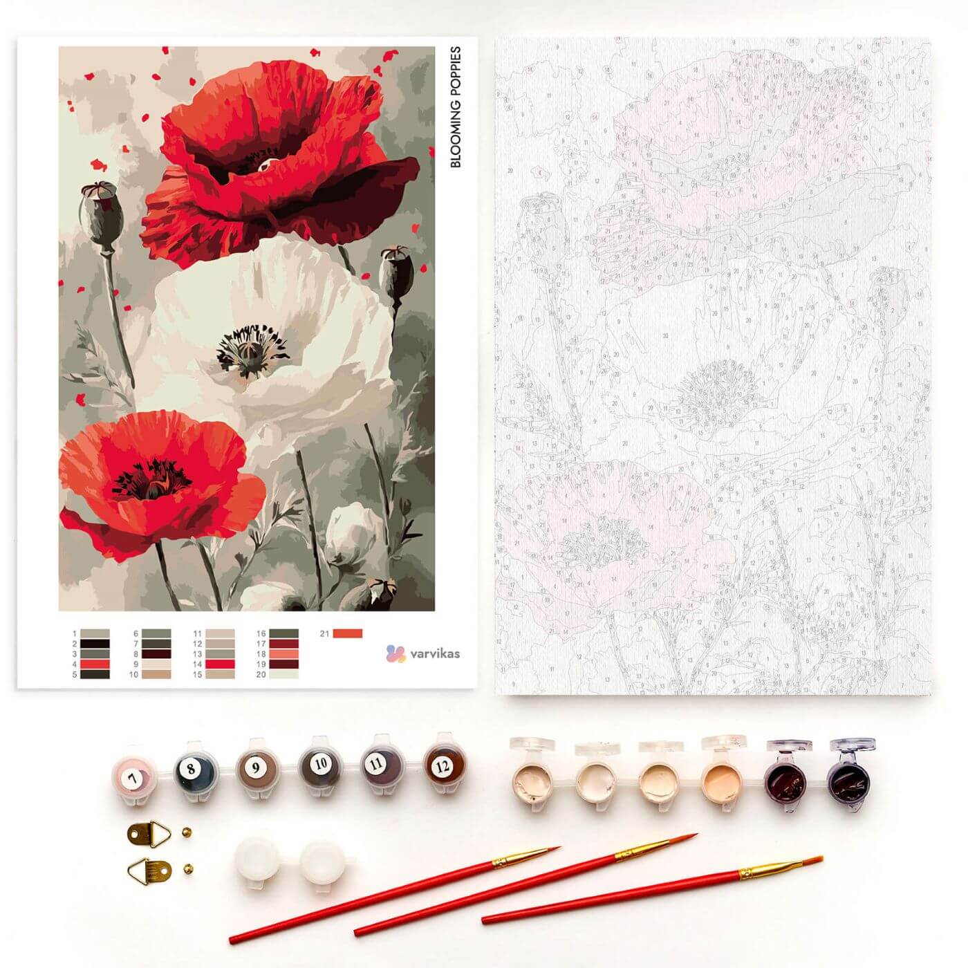 Paint by Numbers 20x30 cm | Blooming Poppies (MC1153e) – Painting by numbers | Varvikas.Shop