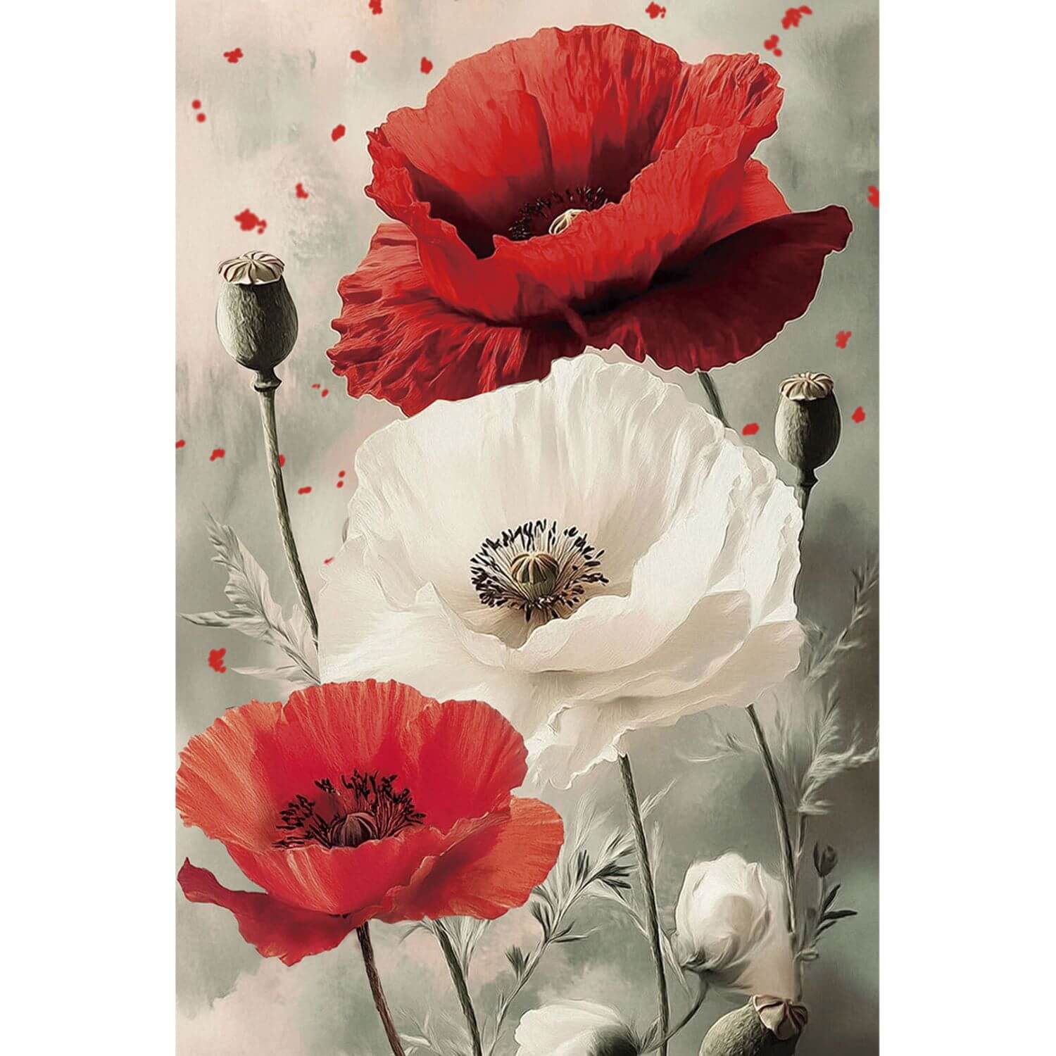 Paint by Numbers 20x30 cm | Blooming Poppies (MC1153e) – Painting by numbers | Varvikas.Shop