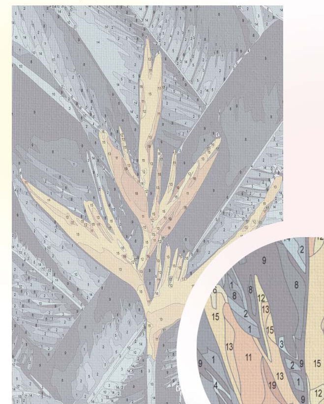 Paint by Numbers 20x30 cm | Exotics (MC1125e) – Painting by numbers | Varvikas.Shop