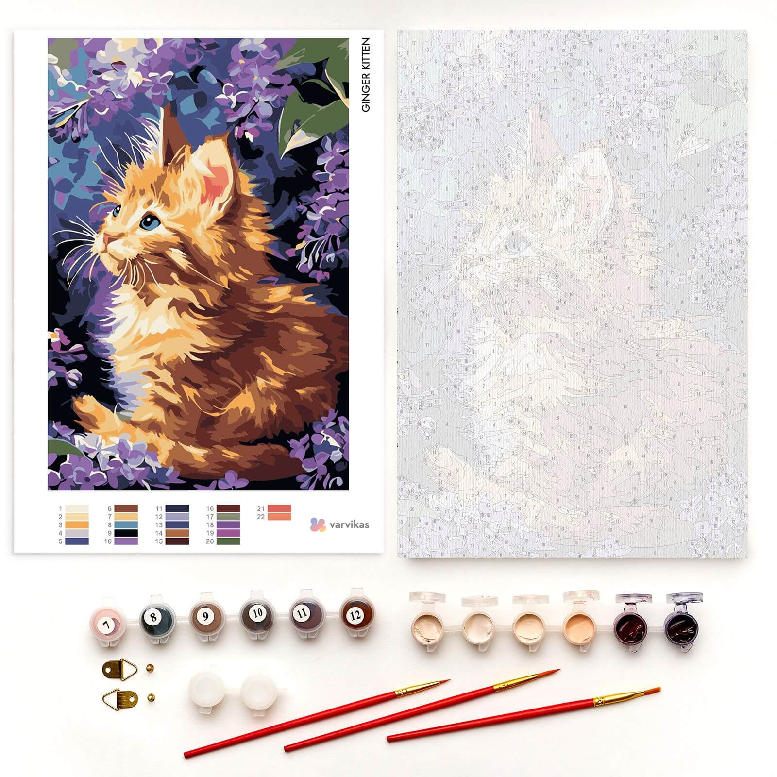 Paint by Numbers 20x30 cm | Ginger Kitten (MC1157e) – Painting by numbers | Varvikas.Shop