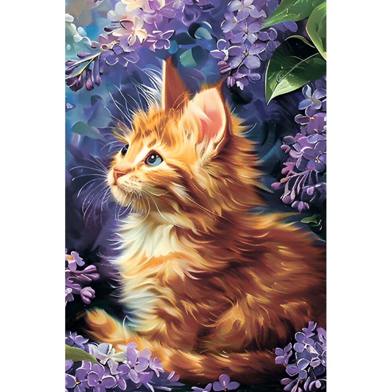 Paint by Numbers 20x30 cm | Ginger Kitten (MC1157e) – Painting by numbers | Varvikas.Shop