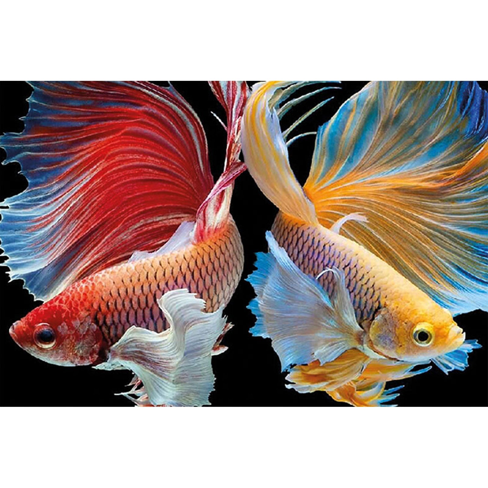 Paint by Numbers 20x30 cm | Wish come true (MC1124e) – Painting by numbers | Varvikas.Shop