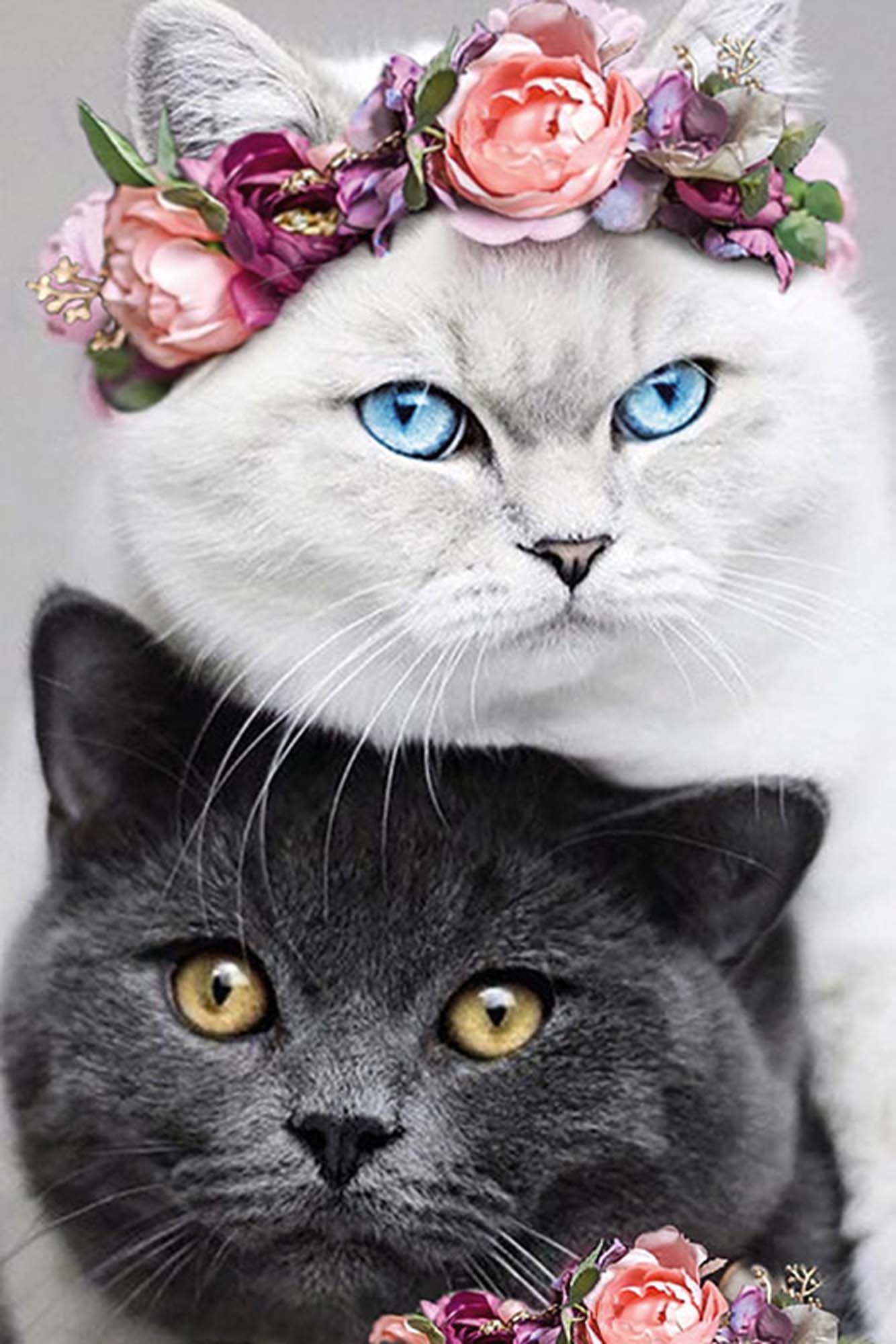 Paint by Numbers 20x30 cm | Yin and Yang (MC1132e) – Painting by numbers | Varvikas.Shop