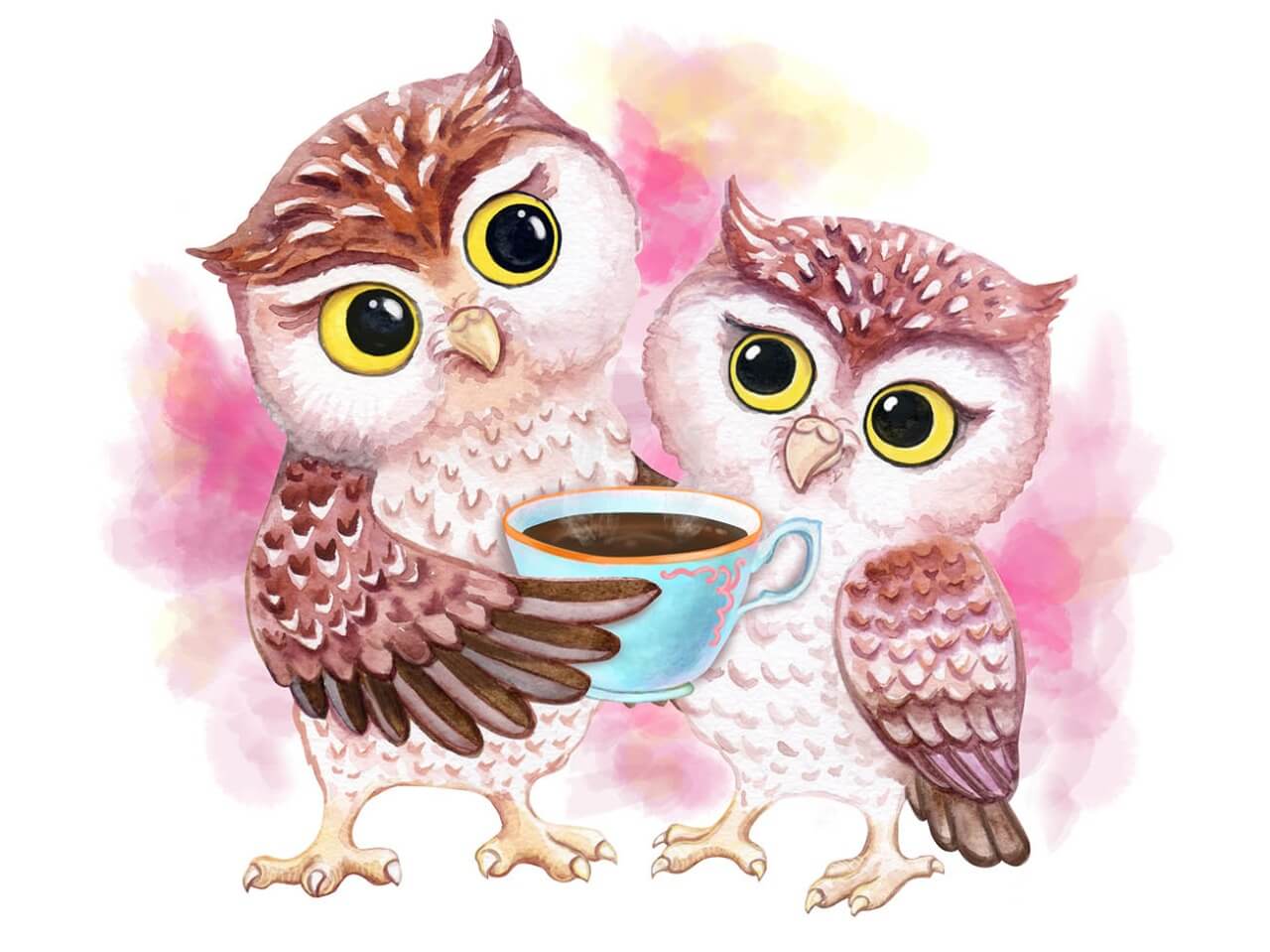 Paint by Numbers 30x40 cm | Cute Owls (ME1125e) – Painting by numbers | Varvikas.Shop