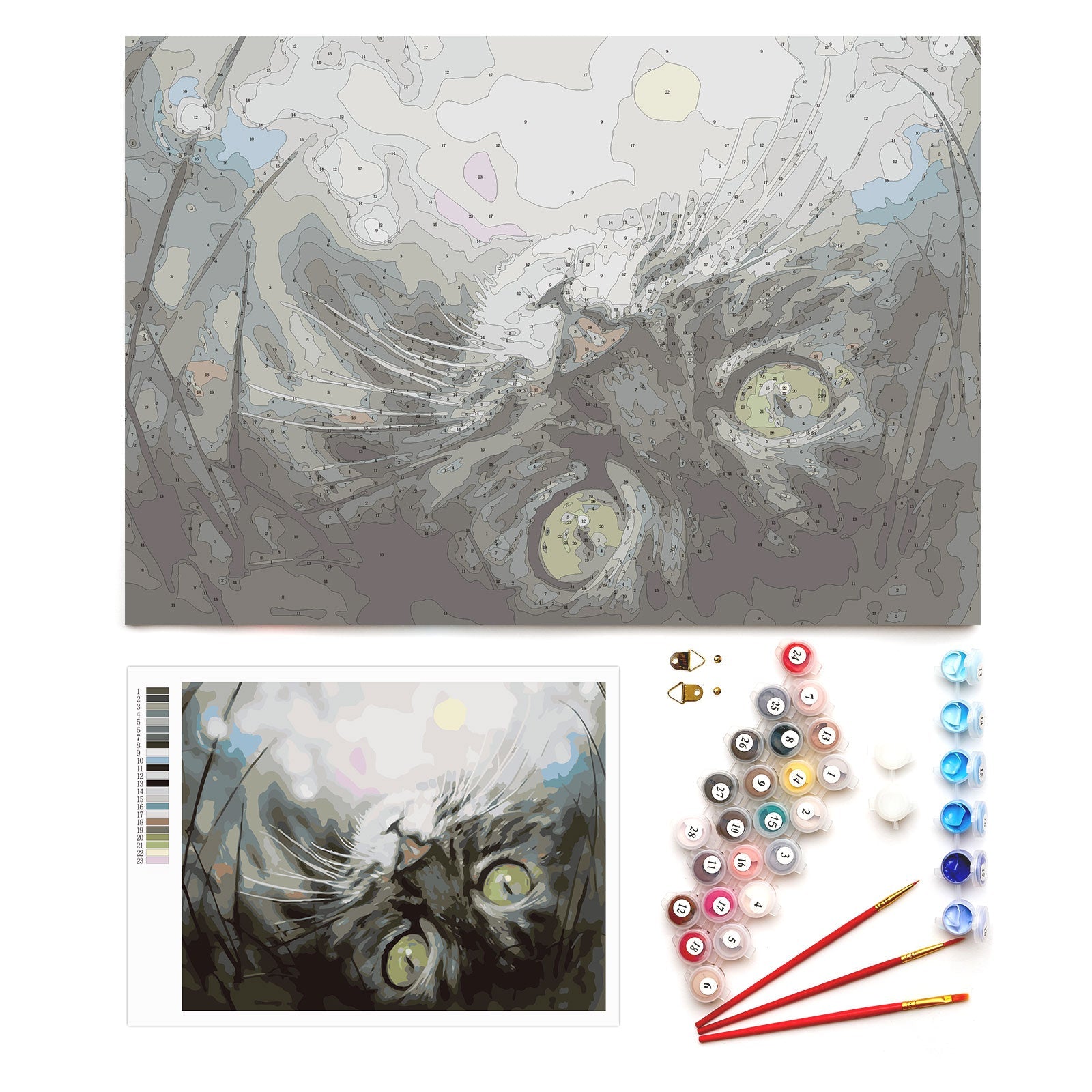 Paint by Numbers 30x40 cm | Dreaming Kitten (ME1074e) – Painting by numbers | Varvikas.Shop