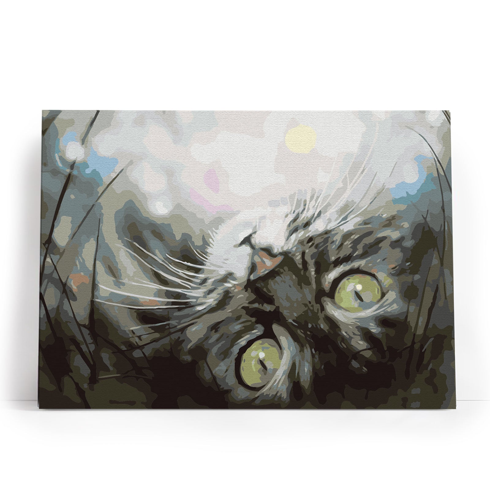 Paint by Numbers 30x40 cm | Dreaming Kitten (ME1074e) – Painting by numbers | Varvikas.Shop