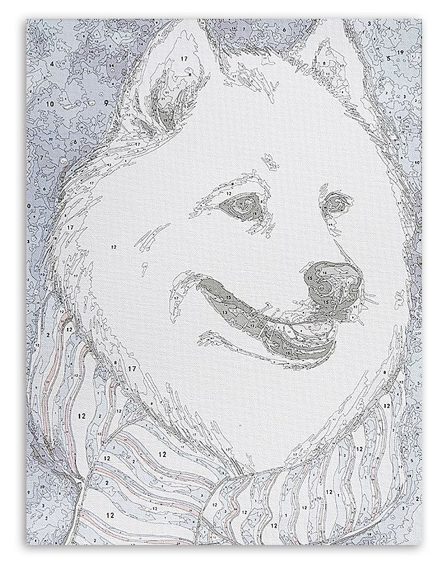 Paint by Numbers 30x40 cm | Fluffy White Dog (ME1111e) – Painting by numbers | Varvikas.Shop