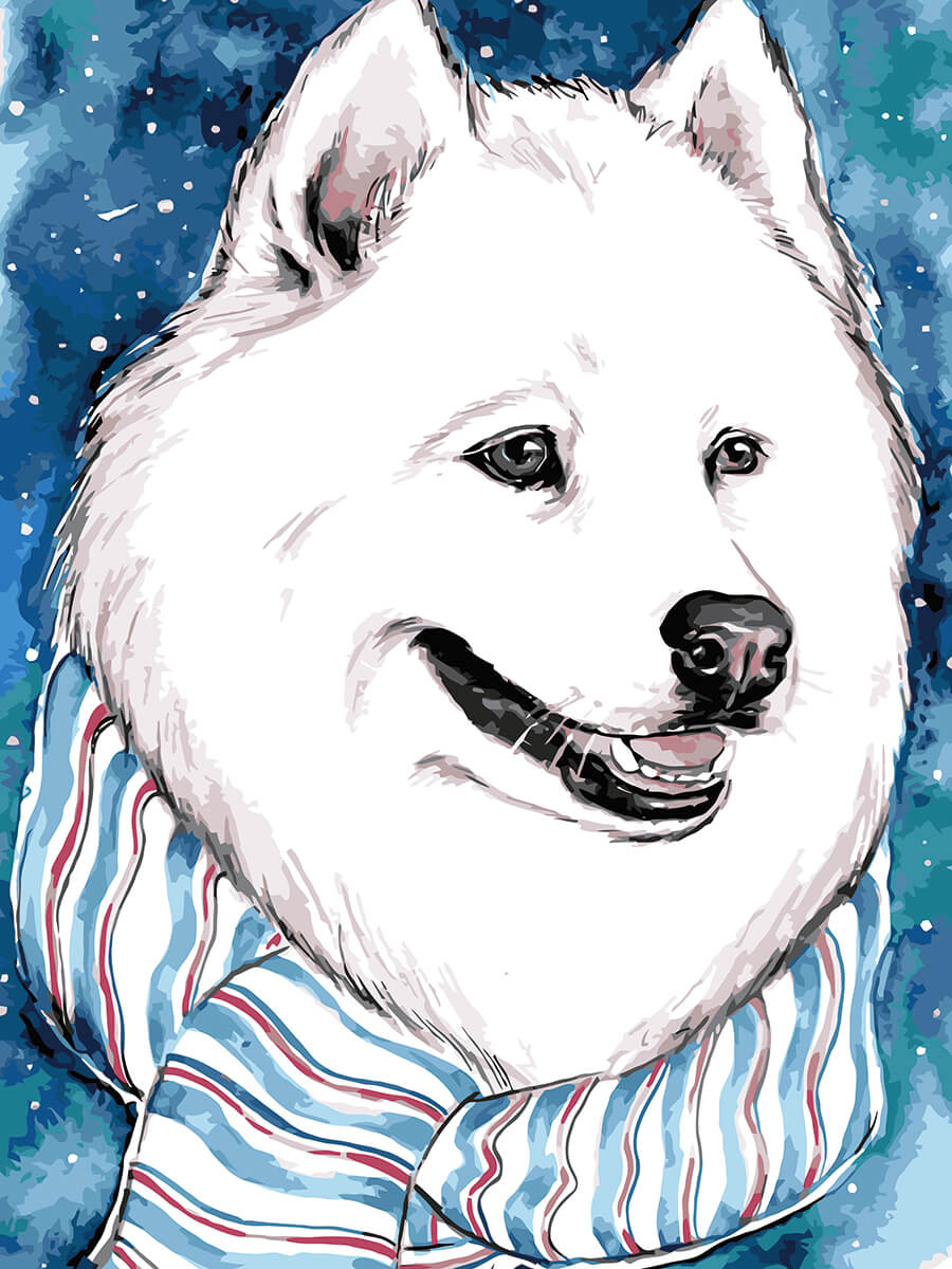 Paint by Numbers 30x40 cm | Fluffy White Dog (ME1111e) – Painting by numbers | Varvikas.Shop