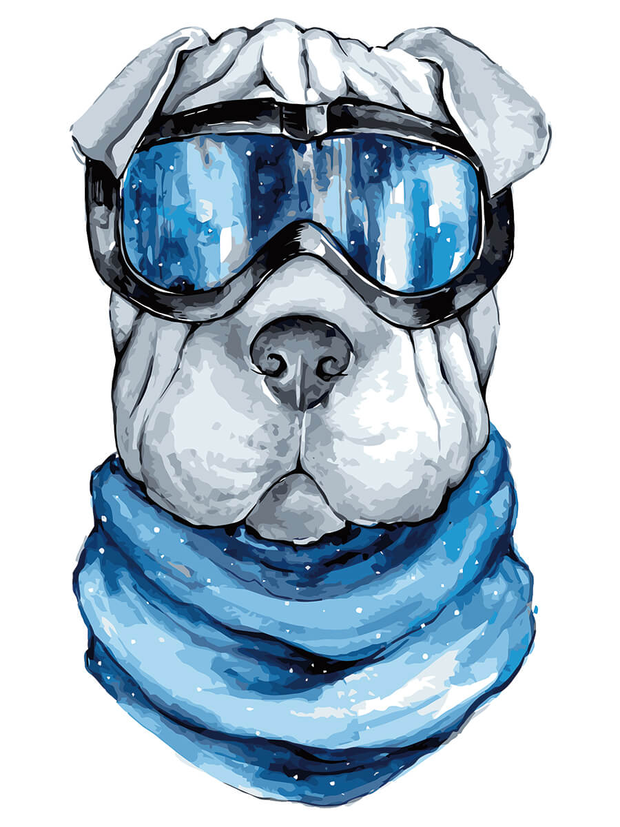 Paint by Numbers 30x40 cm | Shar - Pei (ME1110e) – Painting by numbers | Varvikas.Shop