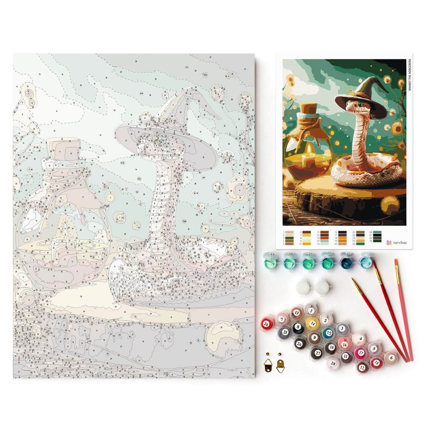 Paint by Numbers 30x40 cm | Snakey the Sorceress (ME1172e) – Painting by numbers | Varvikas.Shop