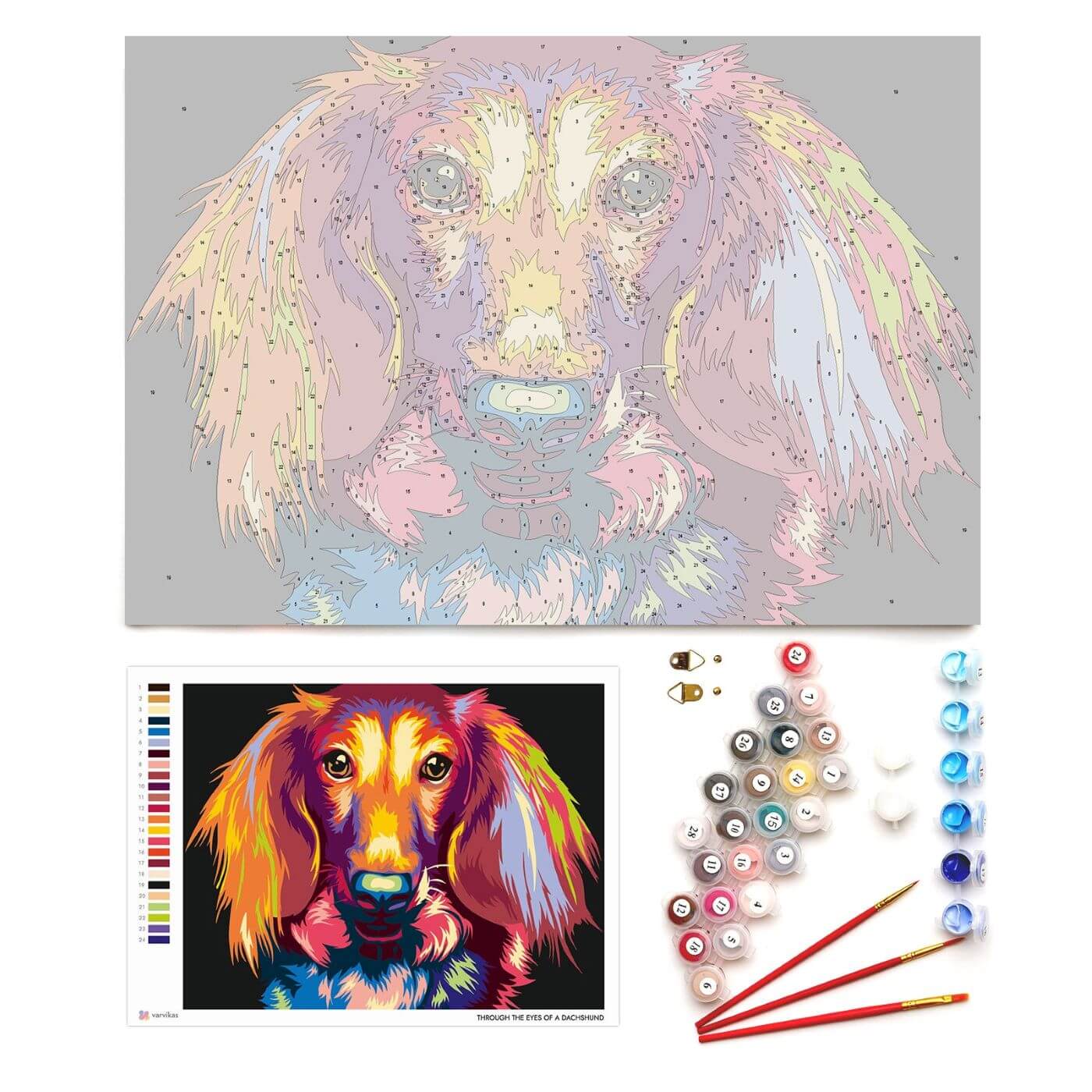 Paint by Numbers 30x40 cm | Through the eyes of a dachshund (ME1143e) – Painting by numbers | Varvikas.Shop