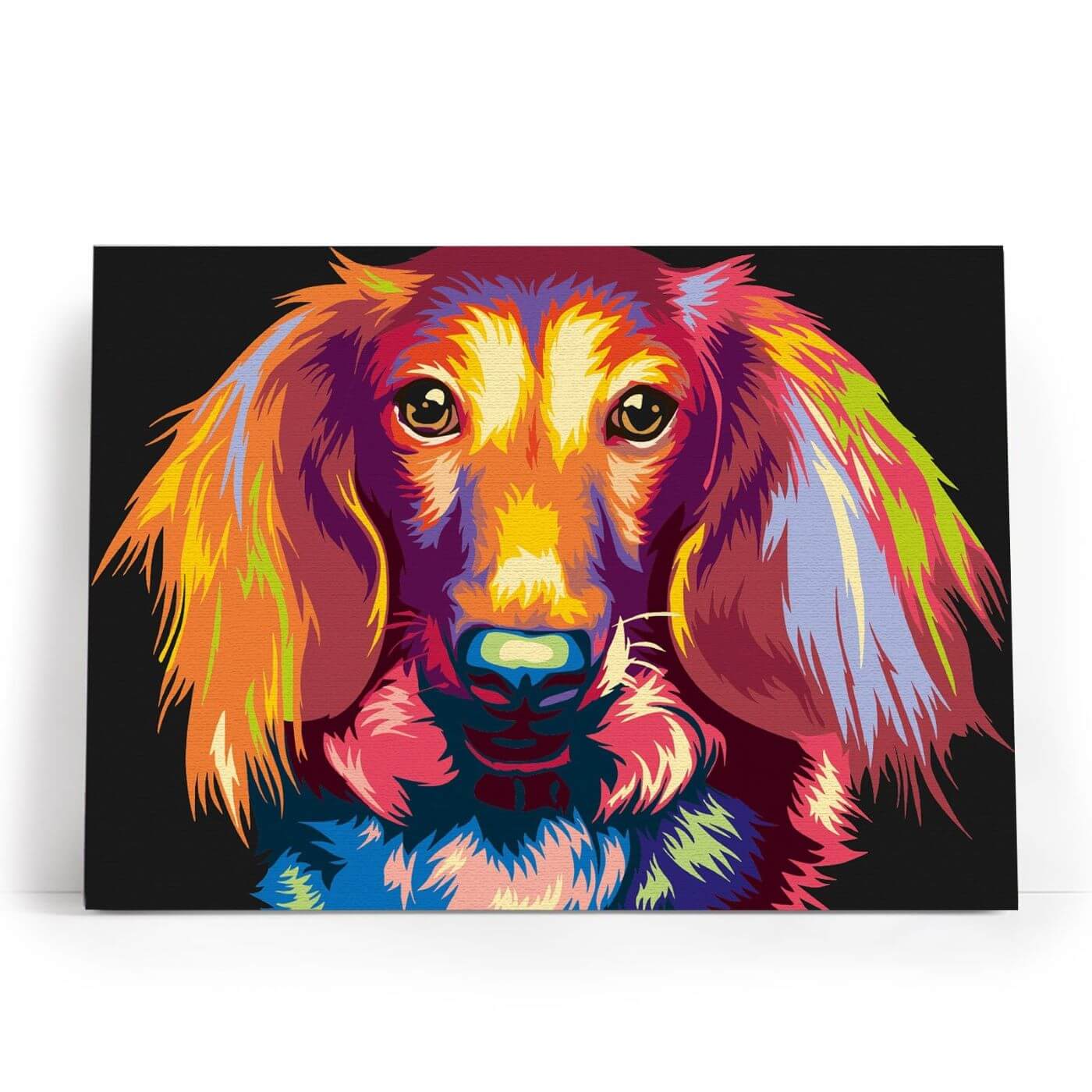 Paint by Numbers 30x40 cm | Through the eyes of a dachshund (ME1143e) – Painting by numbers | Varvikas.Shop