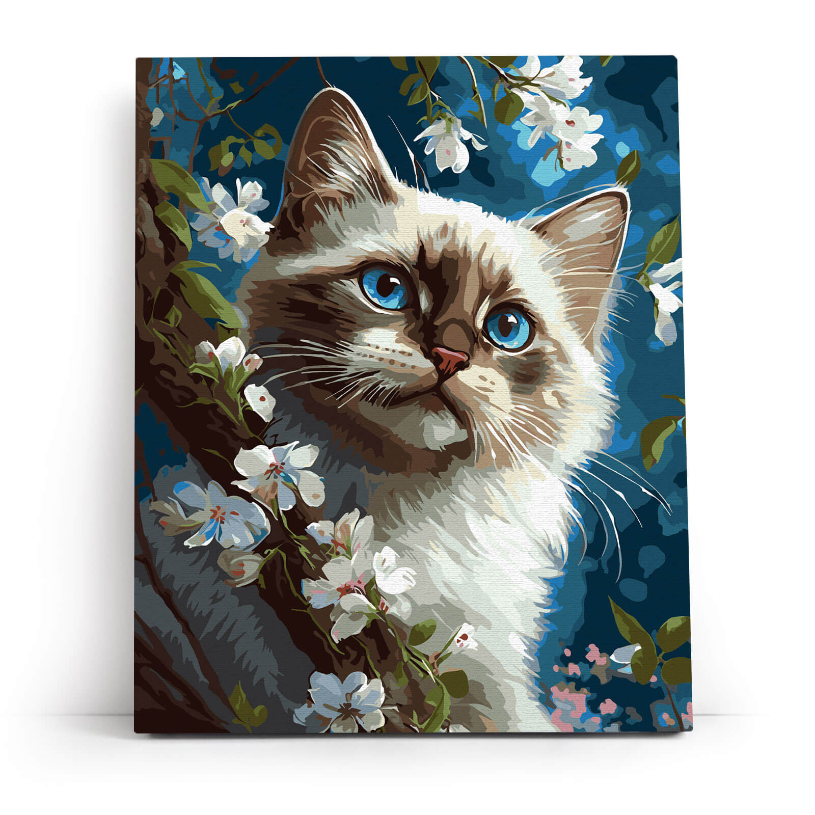 Paint by Numbers 40x50 cm | Cat's harmony (MG2476e) – Painting by numbers | Varvikas.Shop