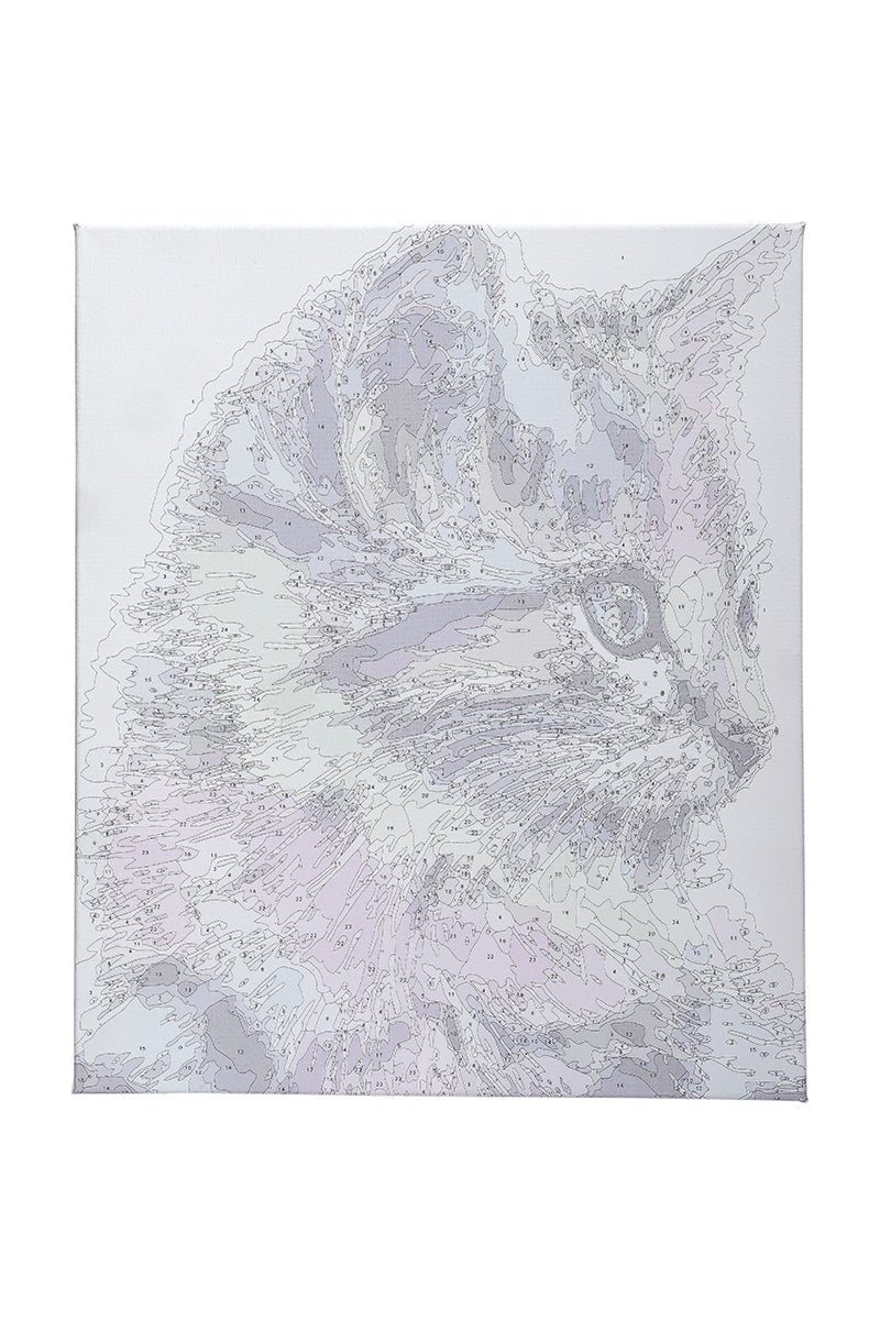 Paint by Numbers 40x50 cm | Colorful Kitten (MG2077e) – Painting by numbers | Varvikas.Shop
