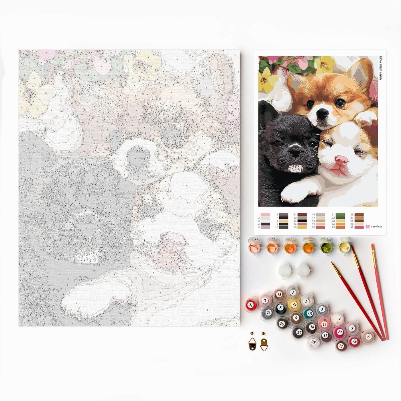 Paint by Numbers 40x50 cm | Fluffy Little Faces (MG2498e) – Painting by numbers | Varvikas.Shop